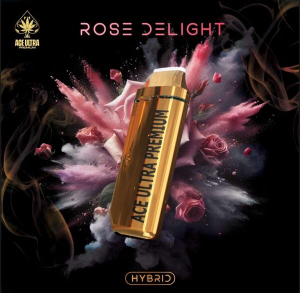 ROSE DELIGHT ( HYBRID )