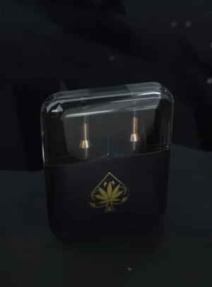 360_F_620621433_QBkjOWM22qyCCExJ5DHhIEKyAp5epT6q-754x1024 Ace 4 gram disposable