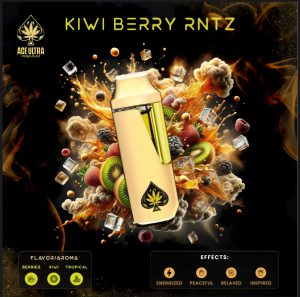 IMG_9704-300x297-1 ACE ULTRA PREMIUM DISPOSABLE KIWI BERRY RNTZ