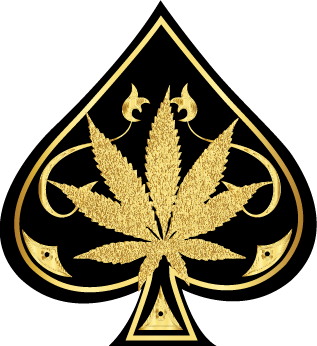 Ace Ultra Official Store