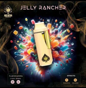 photo_2024-06-21_18-12-23-768x788 ACE DISPOSABLE JELLY RANCHER