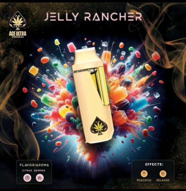 photo_2024-06-21_18-12-23-768x788 ACE DISPOSABLE JELLY RANCHER