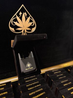 photo_2024-07-17_16-21-20-768x1024 ACE ULTRA PREMIUM 4G DISPOSABLE