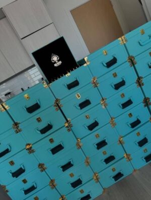 photo_2024-07-20_21-31-04-768x1013 ACE ULTRA 4TH GEN ( 2G 50PCS VARIETY MASTER BOX )