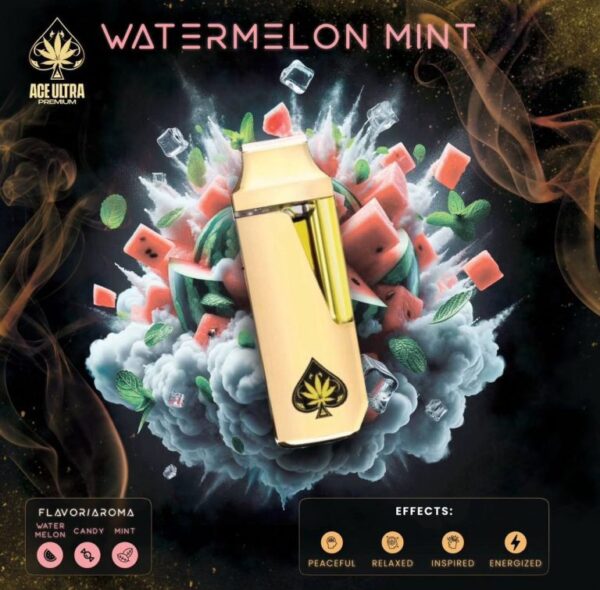 photo_2024-07-20_21-31-10-768x755 WATERMELON MINT