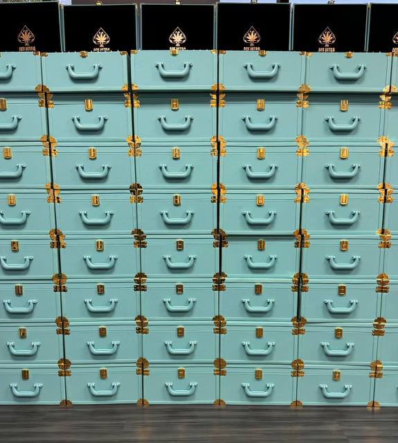 ACE ULTRA 4TH GEN ( 2G 100PCS VARIETY MASTER BOX )