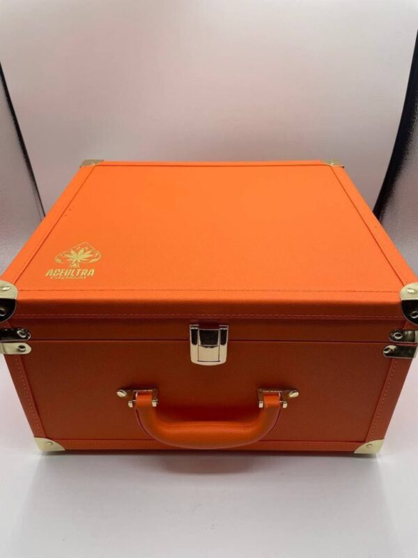 ACE ULTRA SPRING EDITION ( 2G 100PCS VARIETY MASTER BOX )